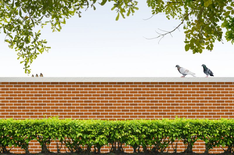 Brick Border Installation